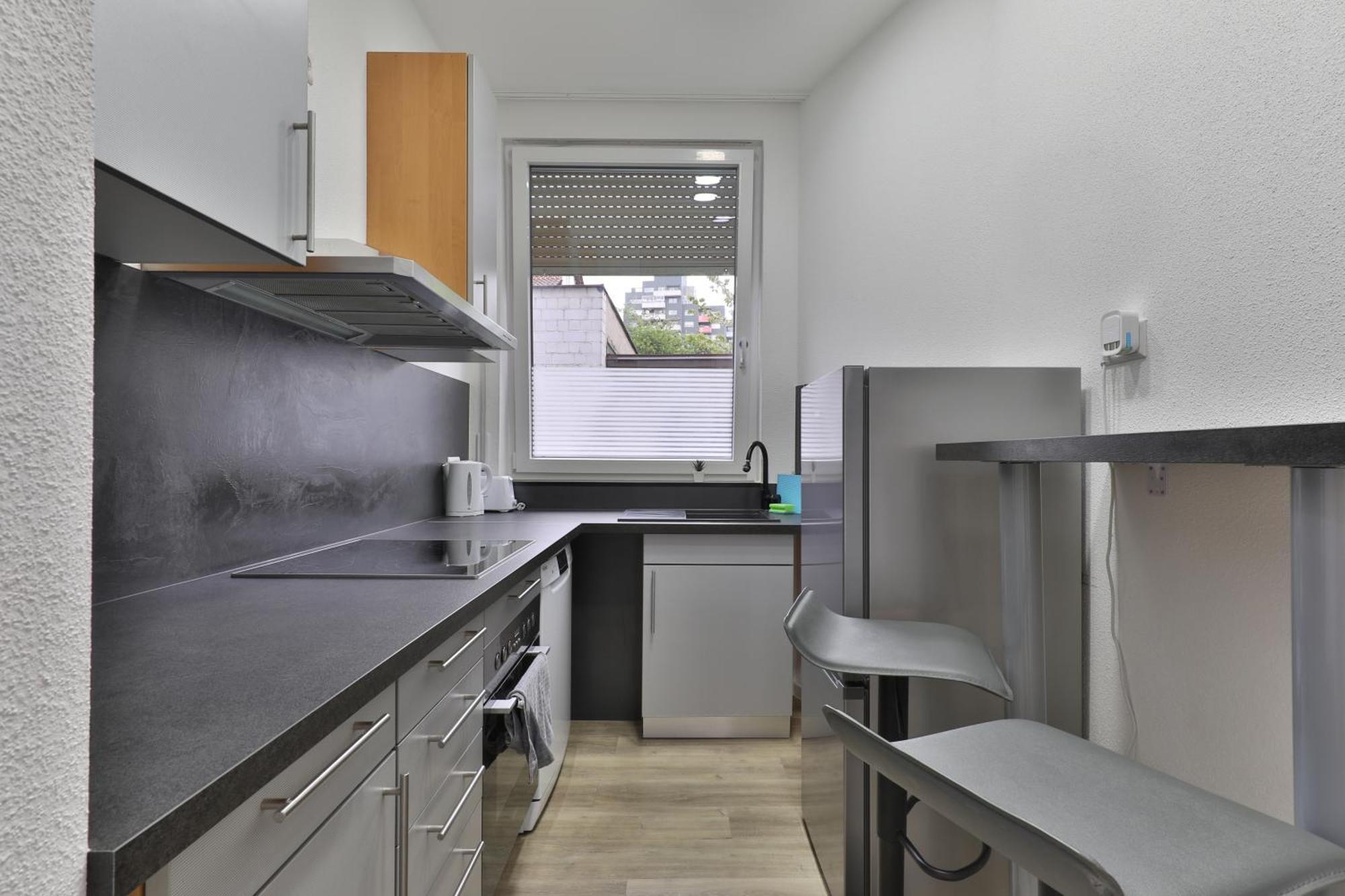 Moderne Ferienwohnungen - Service Wie Im Hotel Göppingen Eksteriør billede